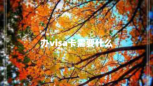 辦visa卡需要什么