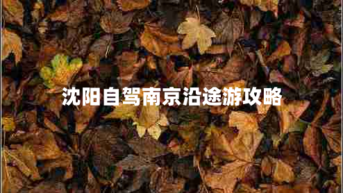 沈陽(yáng)自駕南京沿途游攻略