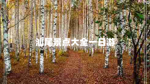 汕尾景點大全一日游