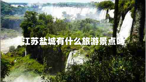 江蘇鹽城有什么旅游景點嗎