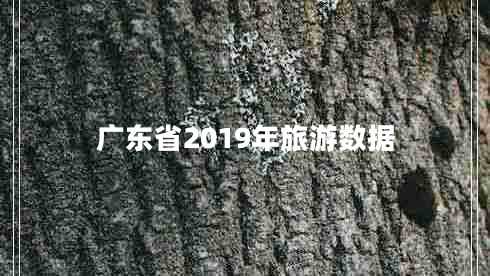 廣東省2019年旅游數(shù)據(jù)