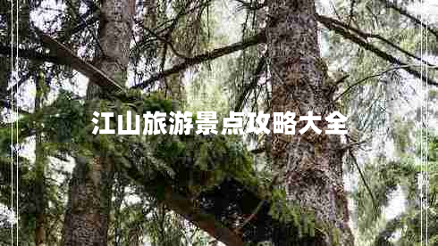 江山旅游景點(diǎn)攻略大全