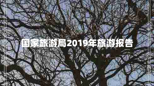 國家旅游局2019年旅游報告