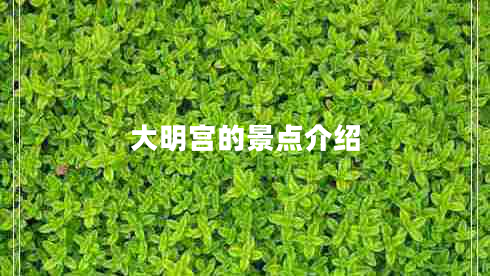 大明宮的景點(diǎn)介紹