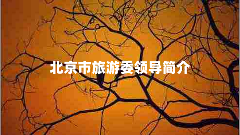 北京市旅游委領(lǐng)導(dǎo)簡(jiǎn)介