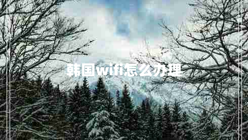 韓國wifi怎么辦理