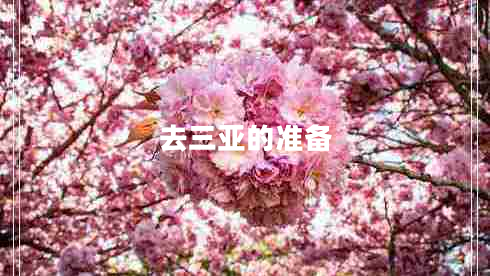 去三亞的準(zhǔn)備