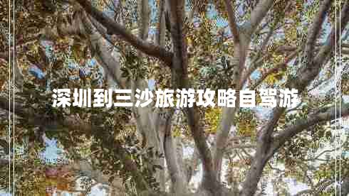 深圳到三沙旅游攻略自駕游