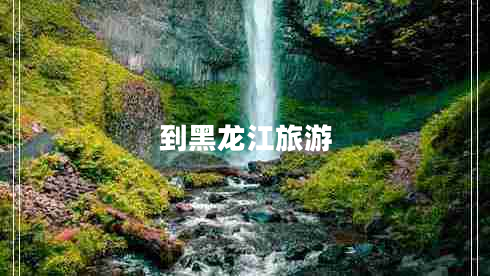 到黑龍江旅游