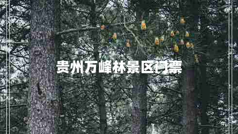 貴州萬(wàn)峰林景區(qū)門(mén)票