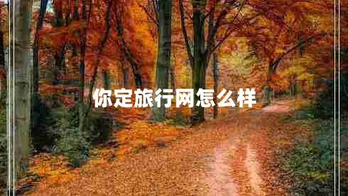 你定旅行網(wǎng)怎么樣