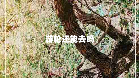 游輪還能去嗎