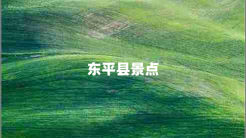 東平縣景點(diǎn)