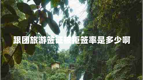 跟團(tuán)旅游簽證被拒簽率是多少啊