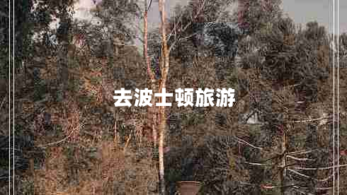 去波士頓旅游