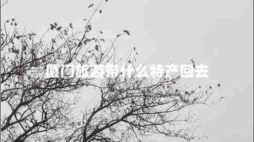 廈門旅游帶什么特產(chǎn)回去