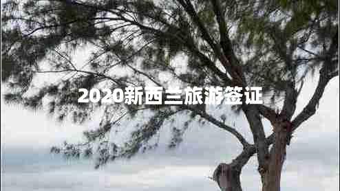 2020新西蘭旅游簽證