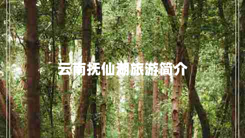 云南撫仙湖旅游簡(jiǎn)介