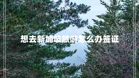 想去新加坡旅游怎么辦簽證