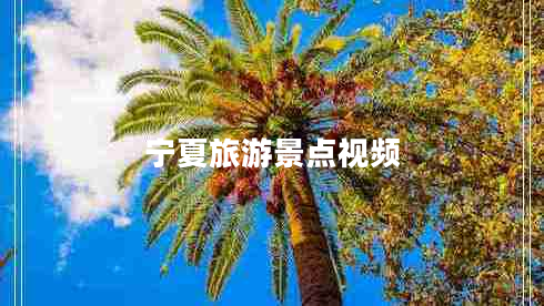 寧夏旅游景點(diǎn)視頻