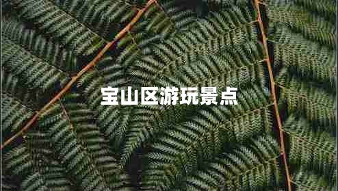 寶山區(qū)游玩景點