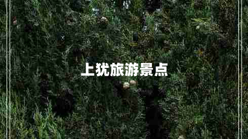 上猶旅游景點(diǎn)