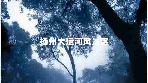 揚(yáng)州大運(yùn)河風(fēng)景區(qū)