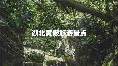 湖北黃陂旅游景點(diǎn)