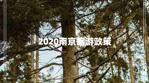 2020南京旅游政策