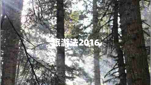 旅游法2016