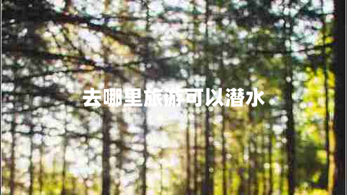 去哪里旅游可以潛水