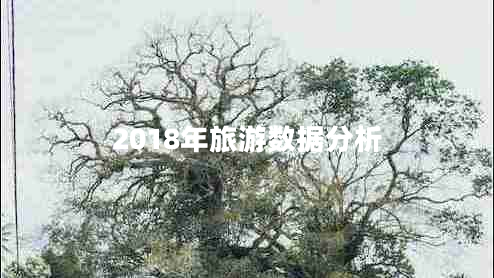 2018年旅游數(shù)據(jù)分析