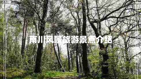 南川風(fēng)景旅游景點(diǎn)介紹