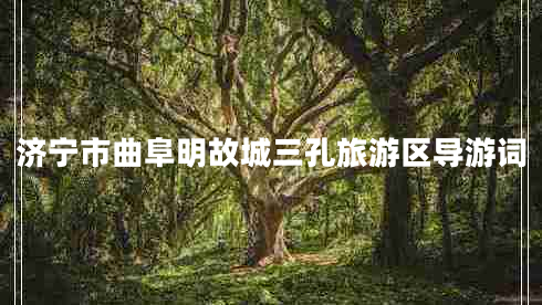 濟(jì)寧市曲阜明故城三孔旅游區(qū)導(dǎo)游詞