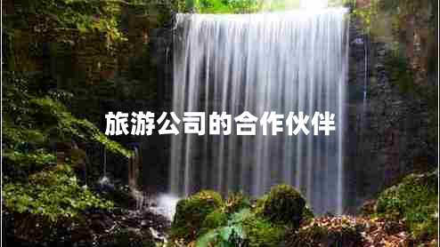 旅游公司的合作伙伴