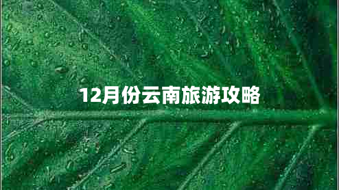 12月份云南旅游攻略