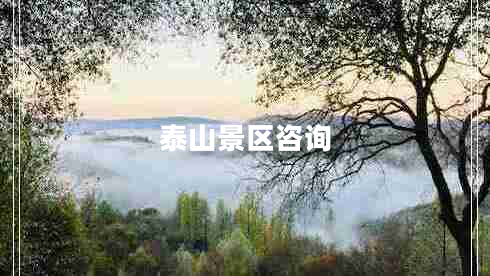 泰山景區(qū)咨詢