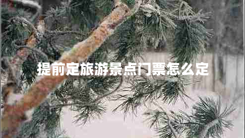 提前定旅游景點(diǎn)門票怎么定