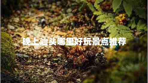 晚上汕頭哪里好玩景點(diǎn)推薦