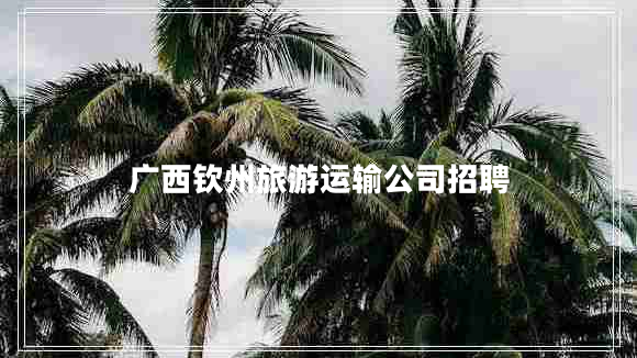 廣西欽州旅游運(yùn)輸公司招聘