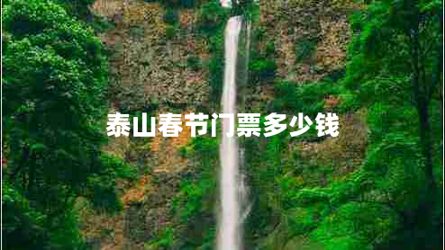 泰山春節(jié)門票多少錢