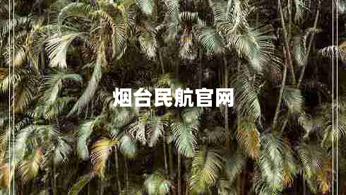 煙臺民航官網(wǎng)