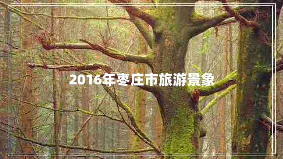 2016年棗莊市旅游景象