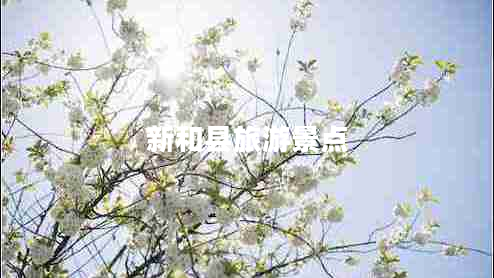 新和縣旅游景點(diǎn)