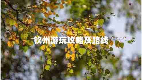 欽州游玩攻略及路線