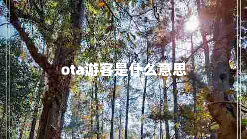 ota游客是什么意思