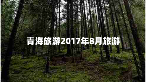 青海旅游2017年8月旅游