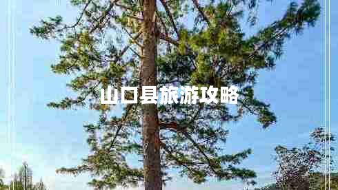 山口縣旅游攻略