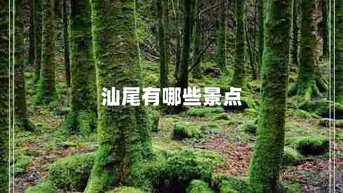 汕尾有哪些景點(diǎn)