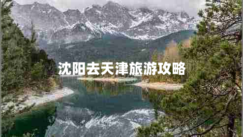 沈陽去天津旅游攻略